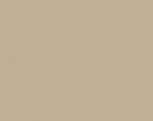 5011-cava-beige-metallic